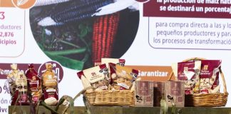 Productores de maíz rechazan lanzamiento de “tortillas Bienestar”; es una bofetada para quienes vivimos del campo, dicen