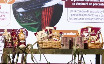 Productores de maíz rechazan lanzamiento de “tortillas Bienestar”; es una bofetada para quienes vivimos del campo, dicen
