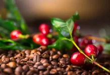 Trump cede ante la inflación y retira aranceles a café, carne y frutas importadas