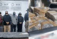 Desarticulan red de tráfico de drogas en Jalisco
