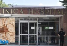 Muere mujer en NL por mordedura de araña violinista; señales de alerta y qué hacer