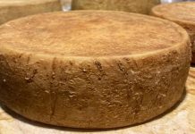 Queso mexicano es elegido como el mejor de Latinoamérica