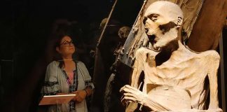 INAH advierte que las Momias de Guanajuato podrían desaparecer