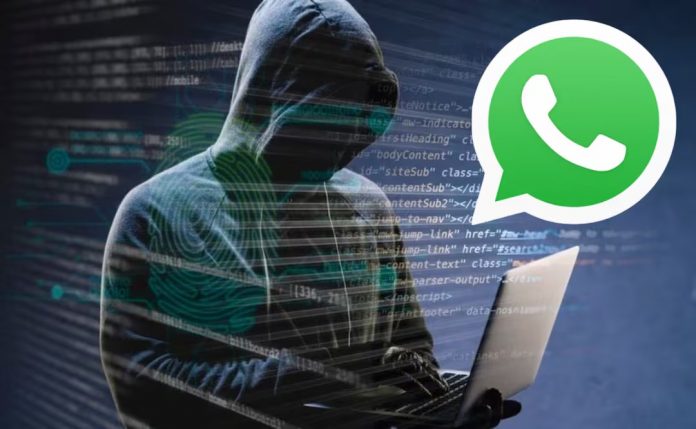Y WHATSAPP