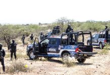 Encuentran siete cuerpos en los límites de Zacatecas y San Luis Potosí