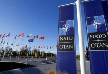 Google y OTAN sellan alianza secreta para crear cerebro con inteligencia artificial