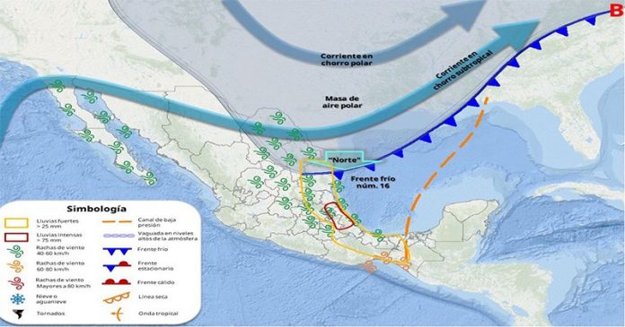 image - 2025-11-26T125414.050