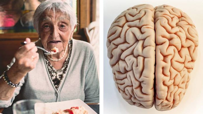 edades-del-cerebro-171828