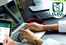 Tarjetón Digital IMSS: ¿para qué sirve y cómo obtenerlo? | PASO A PASO