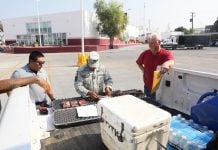 Da inicio temporada de venado cola blanca con alta afluencia de cazadores en Nuevo Laredo