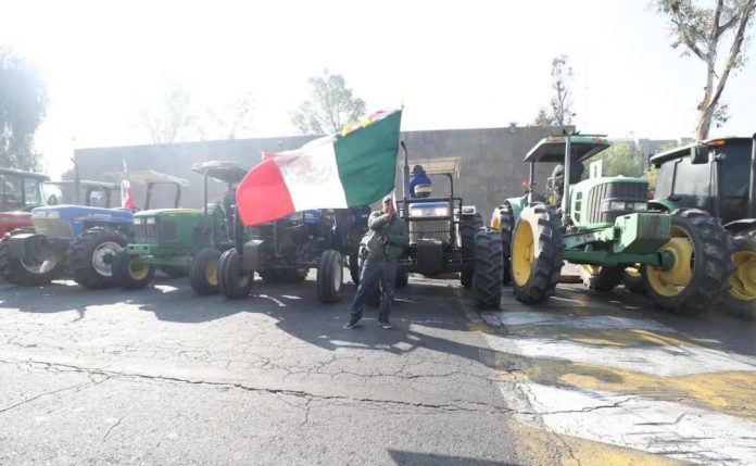 Y CAMPESINOS