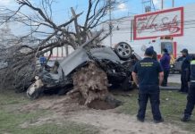 Hombre muere prensado tras impactarse contra árbol en Reynosa, Tamaulipas