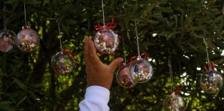 México arranca diciembre con 187 desapariciones
