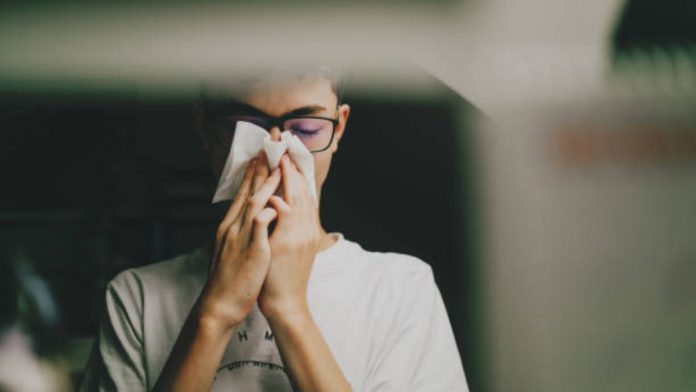 influenza-largo-plazo-152824-154914 (1)