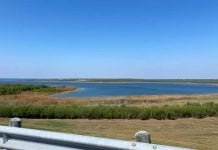 Norte de Tamaulipas, sin una gota para el campo; “sería un error entregar agua a EE. UU.”, aseguran productores