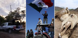 El campo mexicano se detiene por falta de agua y presiones del crimen, productores protestarán