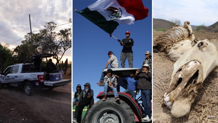 El campo mexicano se detiene por falta de agua y presiones del crimen ...
