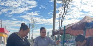 Reforestan Plaza de los Olivos 2 como parte del programa Arboleando NLD