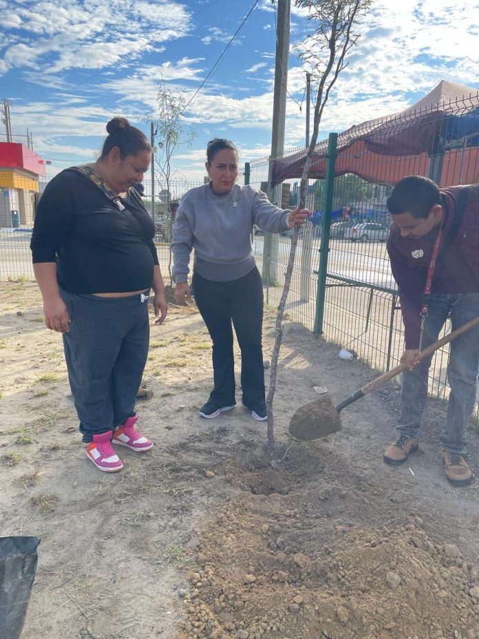 Y REFORESTACIÓN1