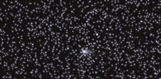 El cometa interestelar 3I/ATLAS se acerca a la Tierra: descubre cómo verlo este 19 de diciembre