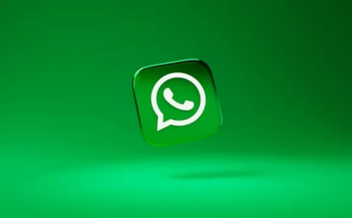 Y WHATSAPP