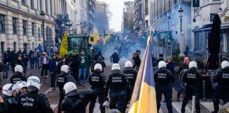 Fuertes protestas en Bruselas contra el acuerdo Unión Europea-Mercosur; entre huevazos, tractorazo e incidentes