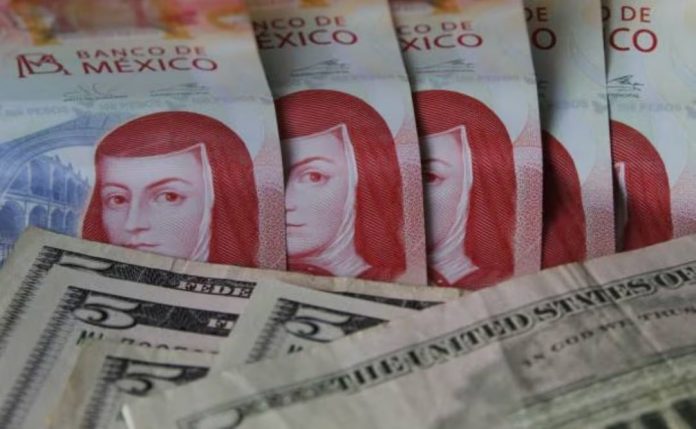 Y DIVISAS