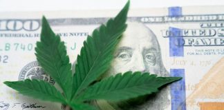Mariguana gana terreno en Washington tras decisión de Trump