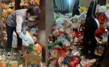 Vive entre montañas de papel higiénico usado y basura en la habitación de un hotel durante 730 días: video