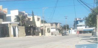 Perro muerde a niño durante festejo de Noche Buena en Tampico