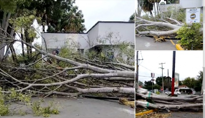 image - 2025-12-29T134845.107