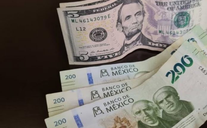 Y DIVISAS