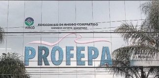 Profepa detalla clausura parcial del proyecto “Ciudad Maderas Península II”