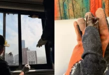 Murciélagos “invaden” departamento en Monterrey