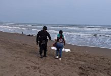 Gael y Gerardo mueren ahogados tras ser arrastrados por el mar en Veracruz