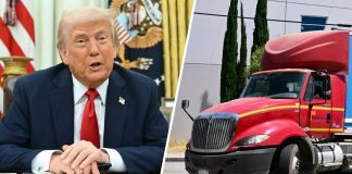 Estados Unidos exige a 8.800 camioneros probar ciudadanía o perderán su licencia CDL