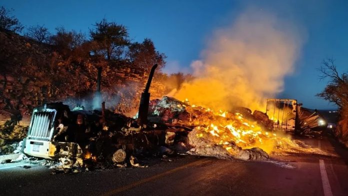 image - 2026-01-15T111112.105