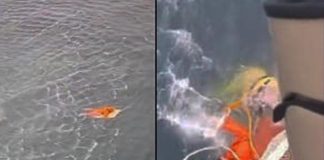 Pescador sobrevive 17 horas aferrado a la puerta de un refrigerador en Brasil | VIDEO