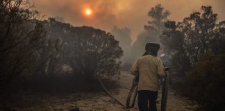 Aumentan los incendios forestales durante el 2025; checa los estados con más casos