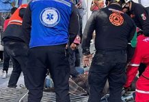 Caballo queda atorado en alcantarilla de drenaje pluvial en calles de Monterrey