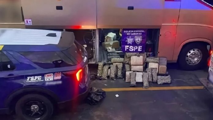 image - 2026-01-18T135249.096