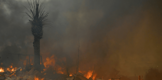 Alerta roja en Chile por incendios: al menos 19 muertos y más de 50 mil personas evacuadas