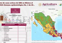 Aumenta a doce casos de gusano