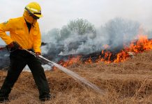 Atiza sequía la temporada de incendios