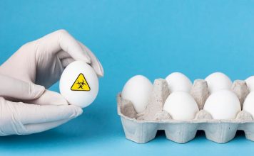 Lo que debes hacer para que los huevos no transmitan Salmonella
