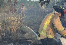 Buscan reconocer a bomberos como servidores públicos en Tamaulipas