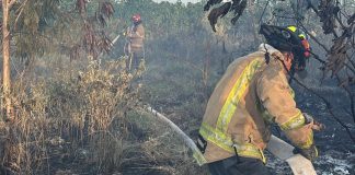Buscan reconocer a bomberos como servidores públicos en Tamaulipas