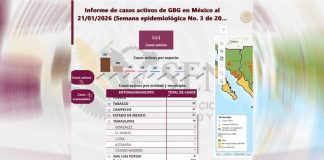 Aparece nuevo caso de Gusano Barrenador en Madero… en un perro