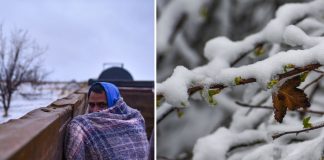 Videos: No sólo en EE. UU. Chihuahua y Durango se cubren de nieve por tormenta invernal