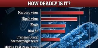 Alerta en India: confirman cinco casos del letal virus Nipah cerca de Calcuta